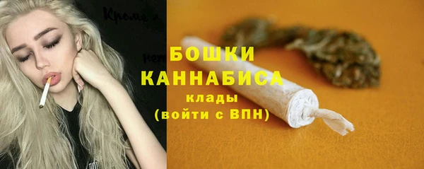 стаф Елизово
