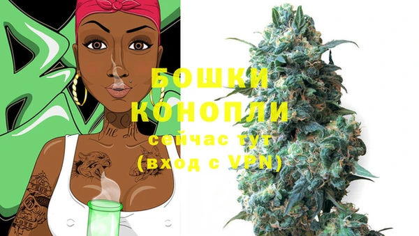 дживик Ростов
