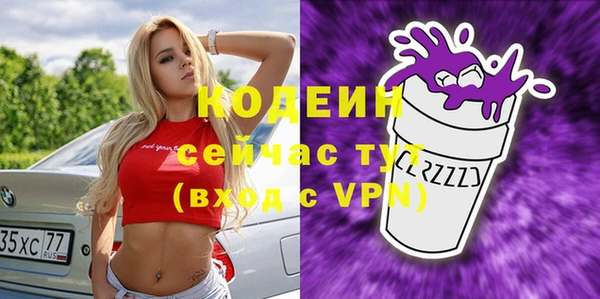 стаф Елизово