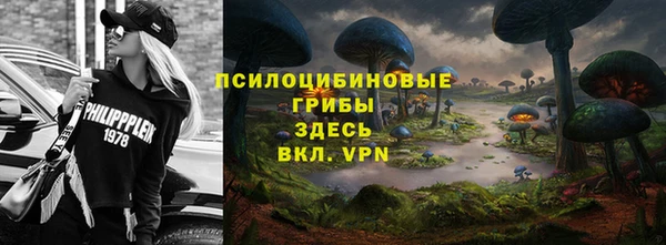 стаф Елизово