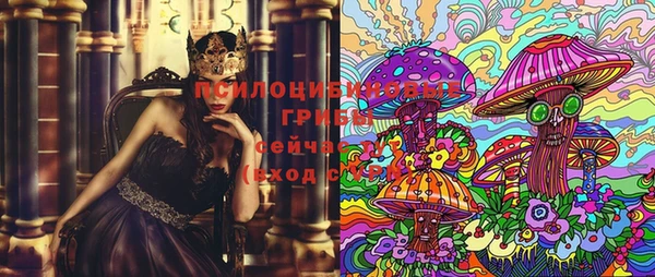 прущая мука Ельня