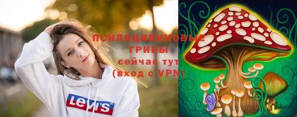 МДПВ Котовск