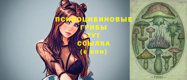 дживик Ростов