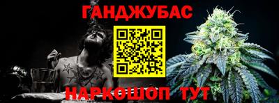 гашик Аргун