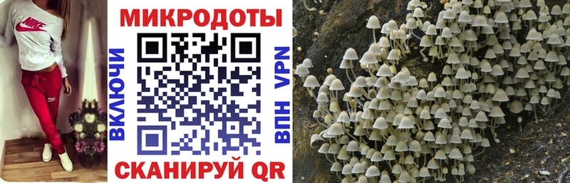 Галлюциногенные грибы MAGIC MUSHROOMS  МЕГА   Спасск-Дальний 