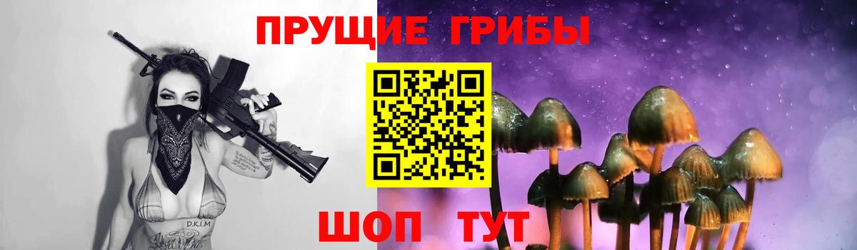 Спасск-Дальний  Псилоцибиновые грибы MAGIC MUSHROOMS  Вход с VPN 